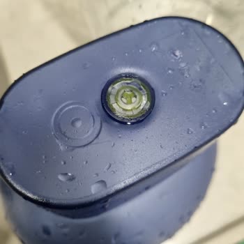 Brita Filtre Sürahisinde Beklenmedik Yosunlanma Sorunu