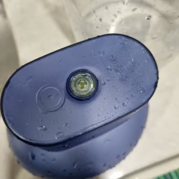 Brita Filtre Sürahisinde Beklenmedik Yosunlanma Sorunu