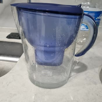 Brita Filtre Sürahisinde Beklenmedik Yosunlanma Sorunu