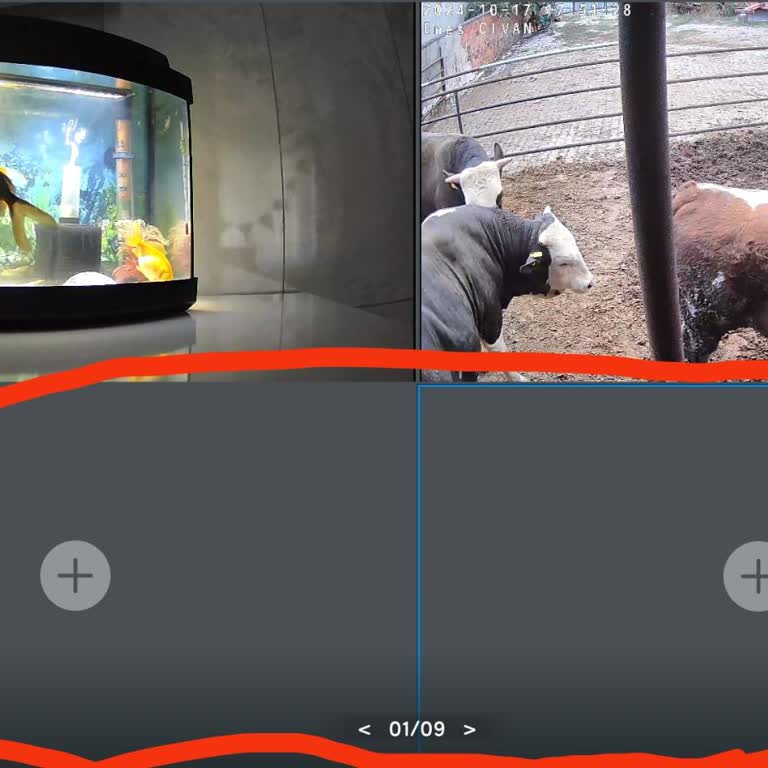 TP Link Tapo Akıllı Kameraların Görüntüleme Sorunu