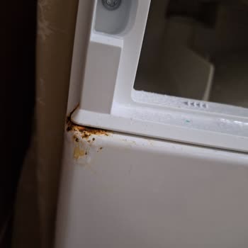 Bosch Çamaşır Makinesi: Küflenme Sorunu Ve Yetersiz Garanti