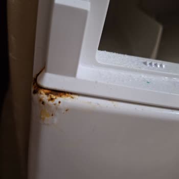 Bosch Çamaşır Makinesi: Küflenme Sorunu Ve Yetersiz Garanti