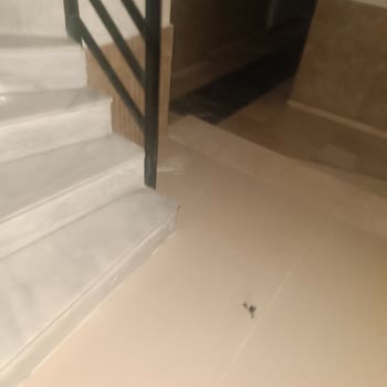 Apartman Girişindeki Kablo Kaosu