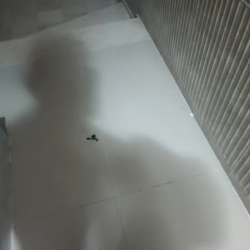 Apartman Girişindeki Kablo Kaosu