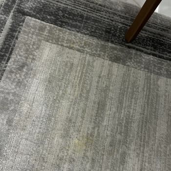 Halıdaki Sarı Lekeler Ve Satıcının İlgisizliği