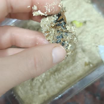Migros Sanal Market'ten Gelen Şaşırtıcı Helva Deneyimi