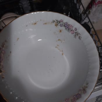 Vestel Bulaşık Makinesi Sorunu Bitmiyor