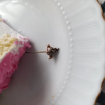 Doğum Günü Pastasında Beklenmedik Sürpriz