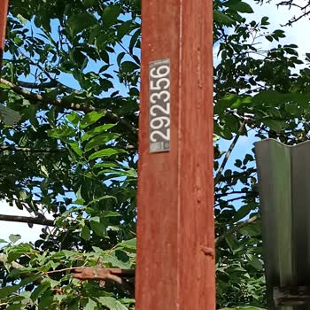 YEDAŞ'ın 4 Aydır Çözülemeyen Sokak Lambası Arızası Mağduriyeti