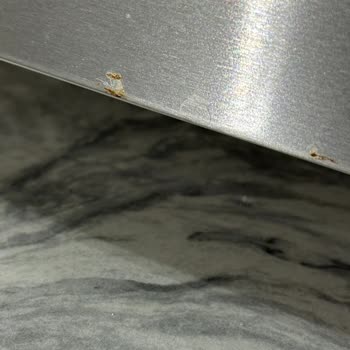 Vestel Buzdolabında Erken Paslanma Sorunu