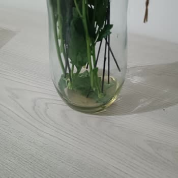 Eksik Ve Sorunlu Teslimat Şikayeti