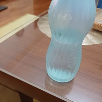 Tupperware Sulukta Yosunlanma Sorunu