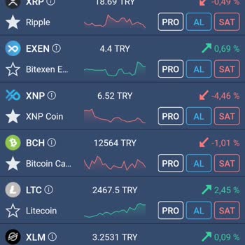 Xnp Coin'de Sürekli Düşüş Ve Yanıltıcı Bilgiler