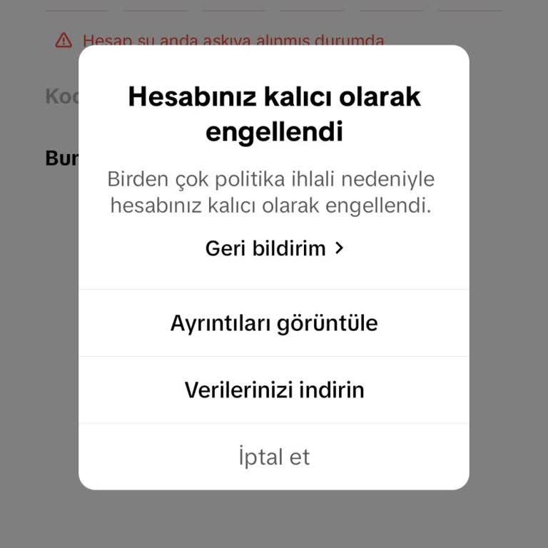 TikTok Hesabım Neden Kalıcı Olarak Kapandı?