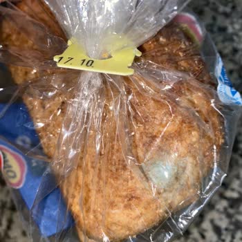 Küflü Ekmek Ve Güven Sorunu