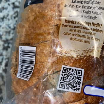 Küflü Ekmek Ve Güven Sorunu