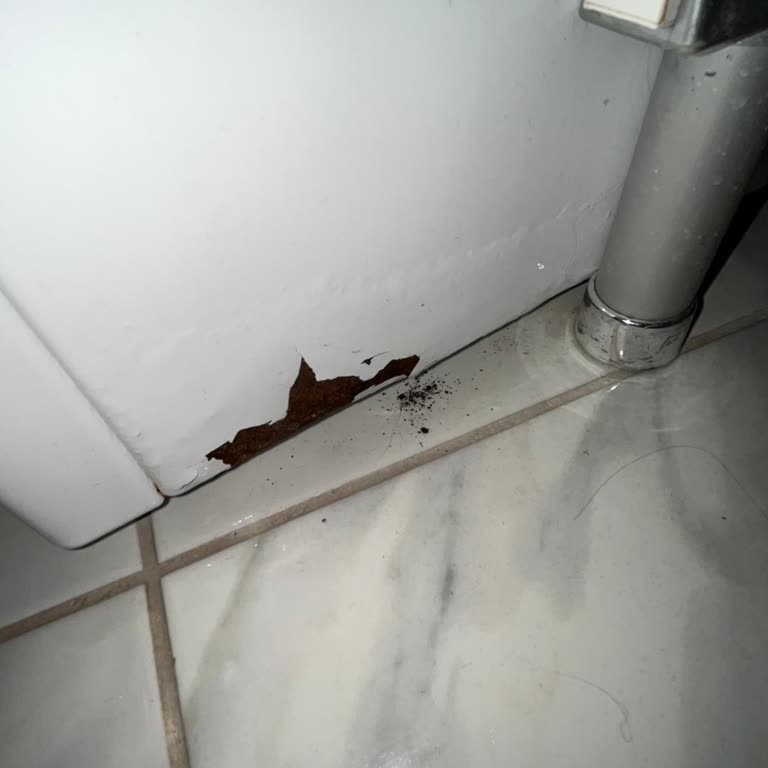 Profilo Çamaşır Makinesi Küflenme Sorunu Ve Güven Kaybı