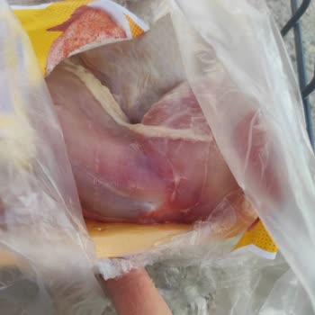 Akyurt Market'ten Aldığım Bozuk Tavuk Butları