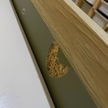 Kelebek Mobilya'dan Alınan Ürünler Ve Servis Desteği Hayal Kırıklığı Yarattı