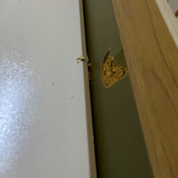 Kelebek Mobilya'dan Alınan Ürünler Ve Servis Desteği Hayal Kırıklığı Yarattı