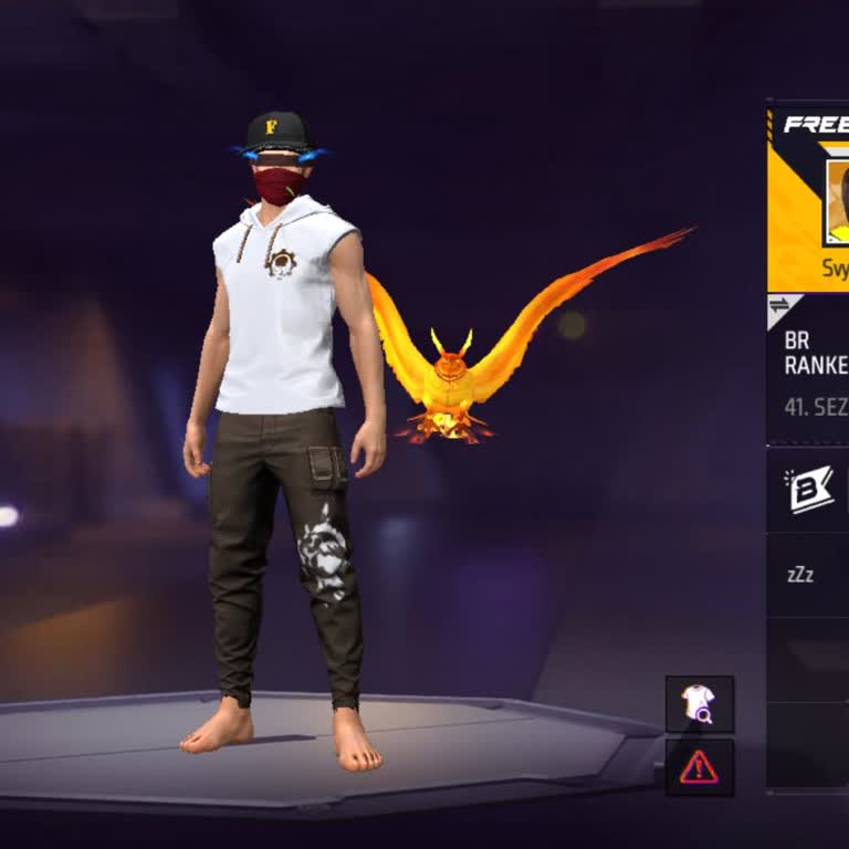 Hesap Erişim Sorunu: Garena'dan Acil Yardım Talebi