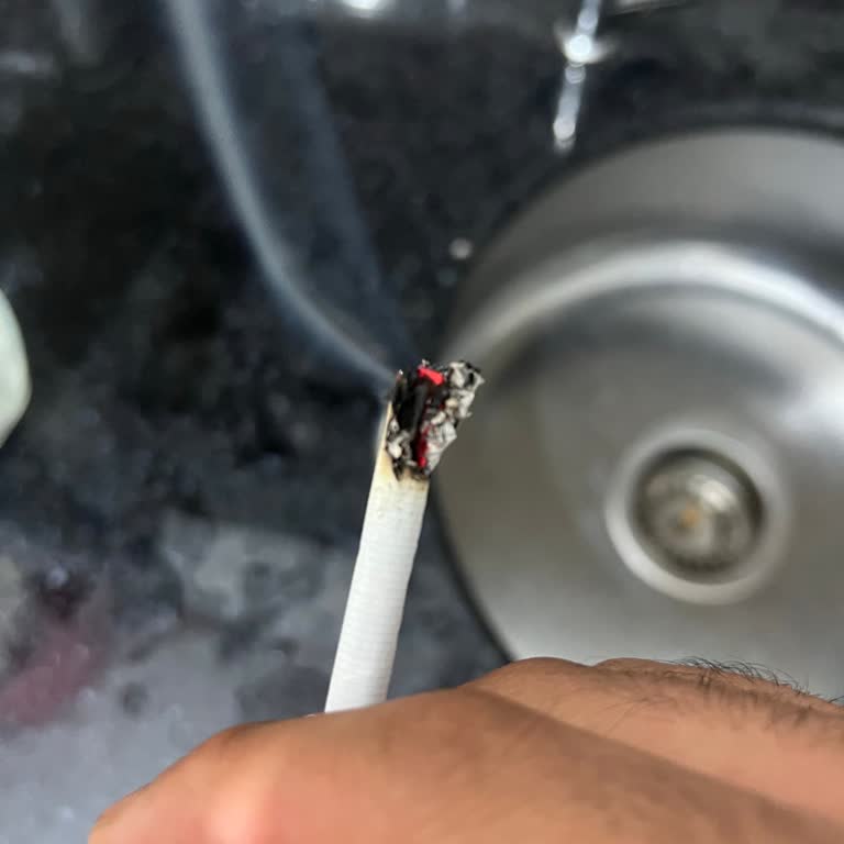 Sigara Kalitesinde Talaş Sorunu
