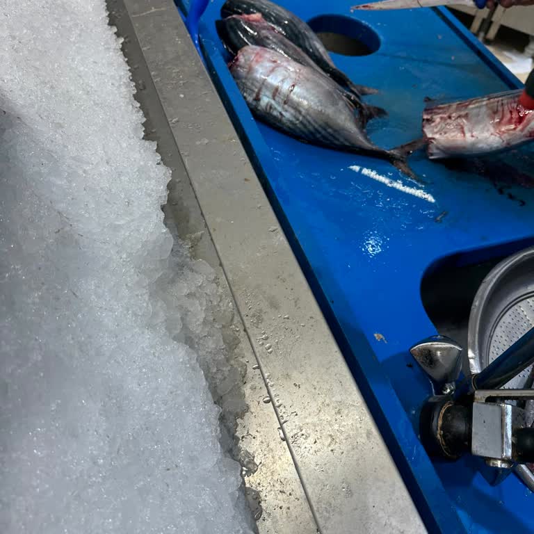 Migros'ta Balık Tezgahında Yaşanan Sorunlar