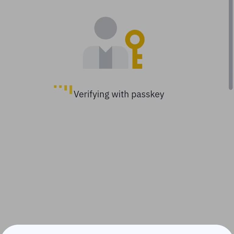 Binance Hesabına Erişim Sorunu