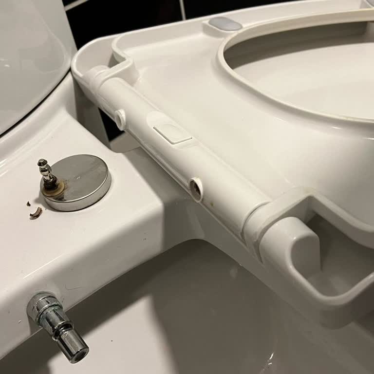 Kale Yavaş Kapanan Tuvalet Kapakları Hayal Kırıklığı