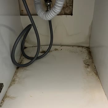 Beko Servisinin Hatası Dolabımı Mahvetti