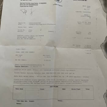 Dyson V8 Süpürge: Elektrik Kaçağı Ve Motor Sorunu