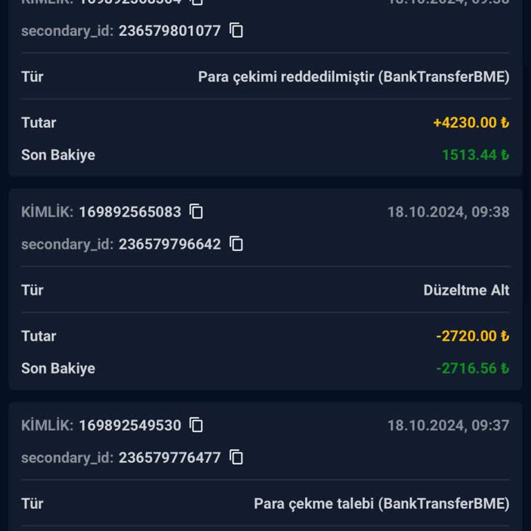 Sürekli Bakiye Silinmesiyle Mağduriyet