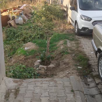 Süleymanpaşa Belediyesi Kaldırım Sorunu!