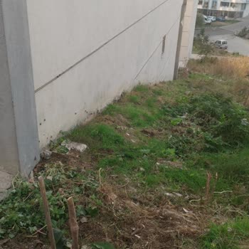 Süleymanpaşa Belediyesi Kaldırım Sorunu!