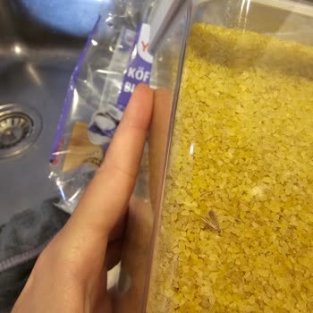 Yayla Köftelik Bulgurda Açılmamış Pakette Böceklenme Şoku