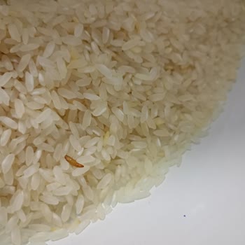 Kurtlu Pirinç Ve İlgisiz Mağaza