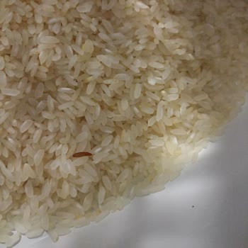 Kurtlu Pirinç Ve İlgisiz Mağaza