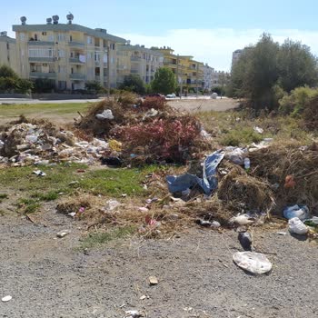 Belediyenin Çöp Duyarsızlığına Karşı İsyan