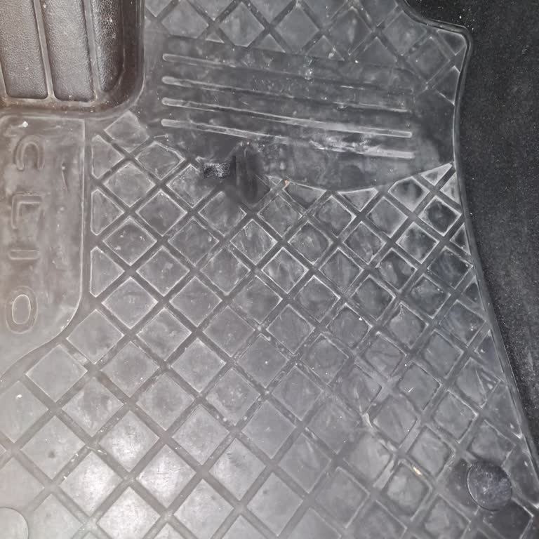 Renault Clio 5 Paspas Dayanıklılık Sorunu