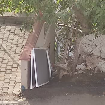 Porsse Home Yanlış Teslimat Ve İlgisizlikle Gelen Mobilya Kabusu