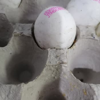 Yumurtalarda Lekeler Ve Çıkmayan Karton Sorunu
