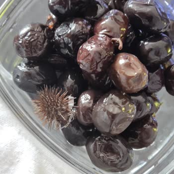 Kaanlar Zeytinde Ot Ve Plastik Parçası Şoku