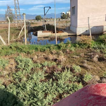 Hatay'daki Koku Sorunu İçin Acil Çözüm Talebi