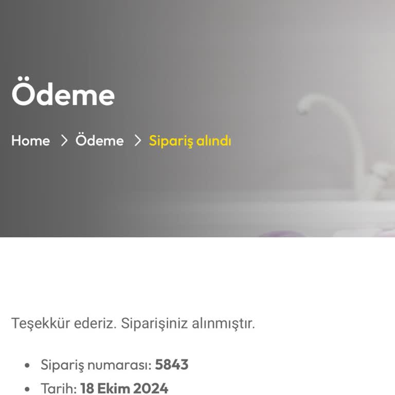 Temizlik Hizmeti Randevusu Hayal Kırıklığı