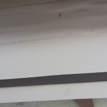 Edep Yoksunu Taşımacılık: Kırık Aynalar Ve Kayıp Kulplar