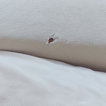 Edep Yoksunu Taşımacılık: Kırık Aynalar Ve Kayıp Kulplar