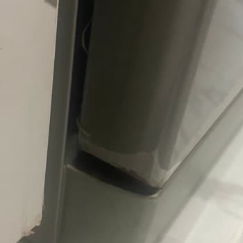 Bosch Bulaşık Ve Çamaşır Makinelerinde Boya Sorunu