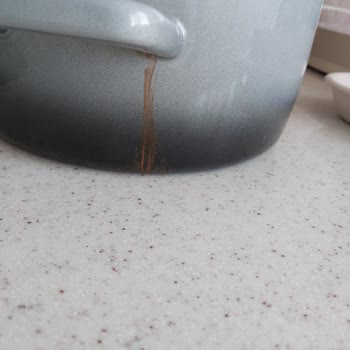 Rust Appearing on Madame Coco Pot Handle After First Wash – Requesting Resolution