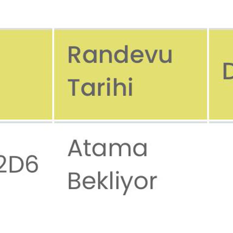 Ulusal Vize Randevu Atamasındaki Gecikme Ve Belirsizlik