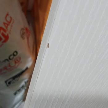 Vivense'den Aldığım Konsolun Kırık Gelmesi Ve İletişim Sorunları